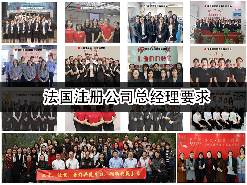 法國注冊公司總經(jīng)理要求